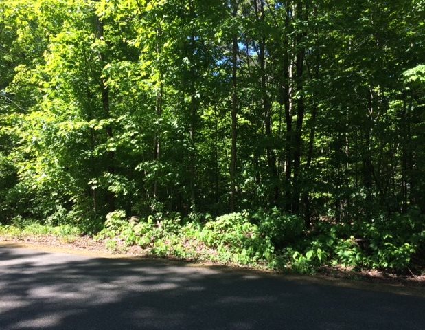 0 Lamprey Road Belmont, NH 03220 - Photo 2 of 5 Gallery Image 2