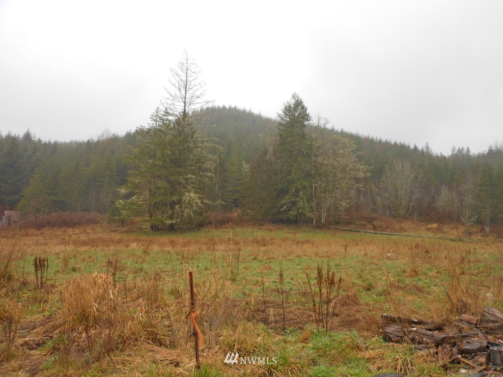 603 Lucas Creek Road Chehalis, WA 98532 - Photo 9 of 11 Gallery Image 9