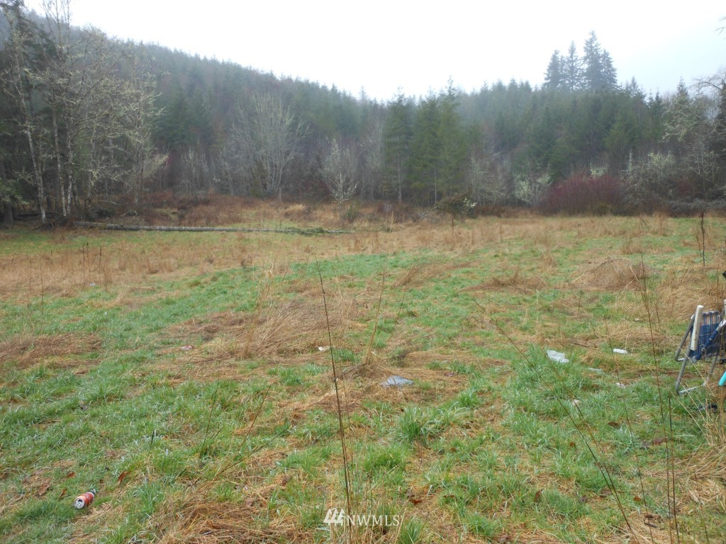 603 Lucas Creek Road Chehalis, WA 98532 - Photo 10 of 11 Gallery Image 10