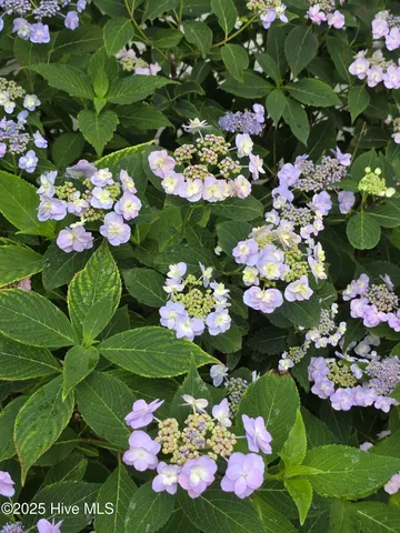 $562,000 | 709 Sawgrass Road, Hampstead, NC 28443