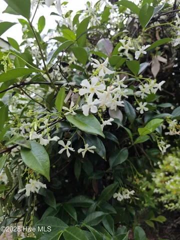 $562,000 | 709 Sawgrass Road, Hampstead, NC 28443