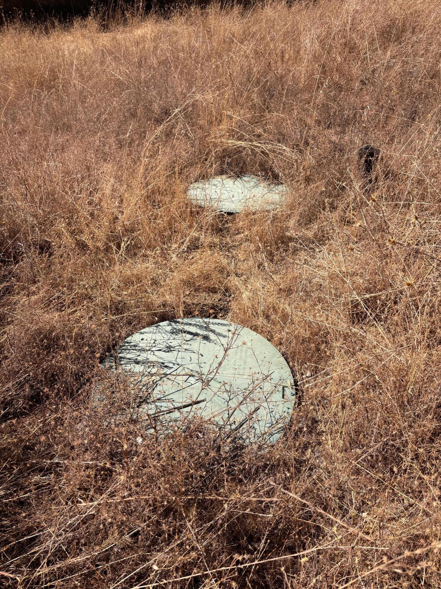 Lower area