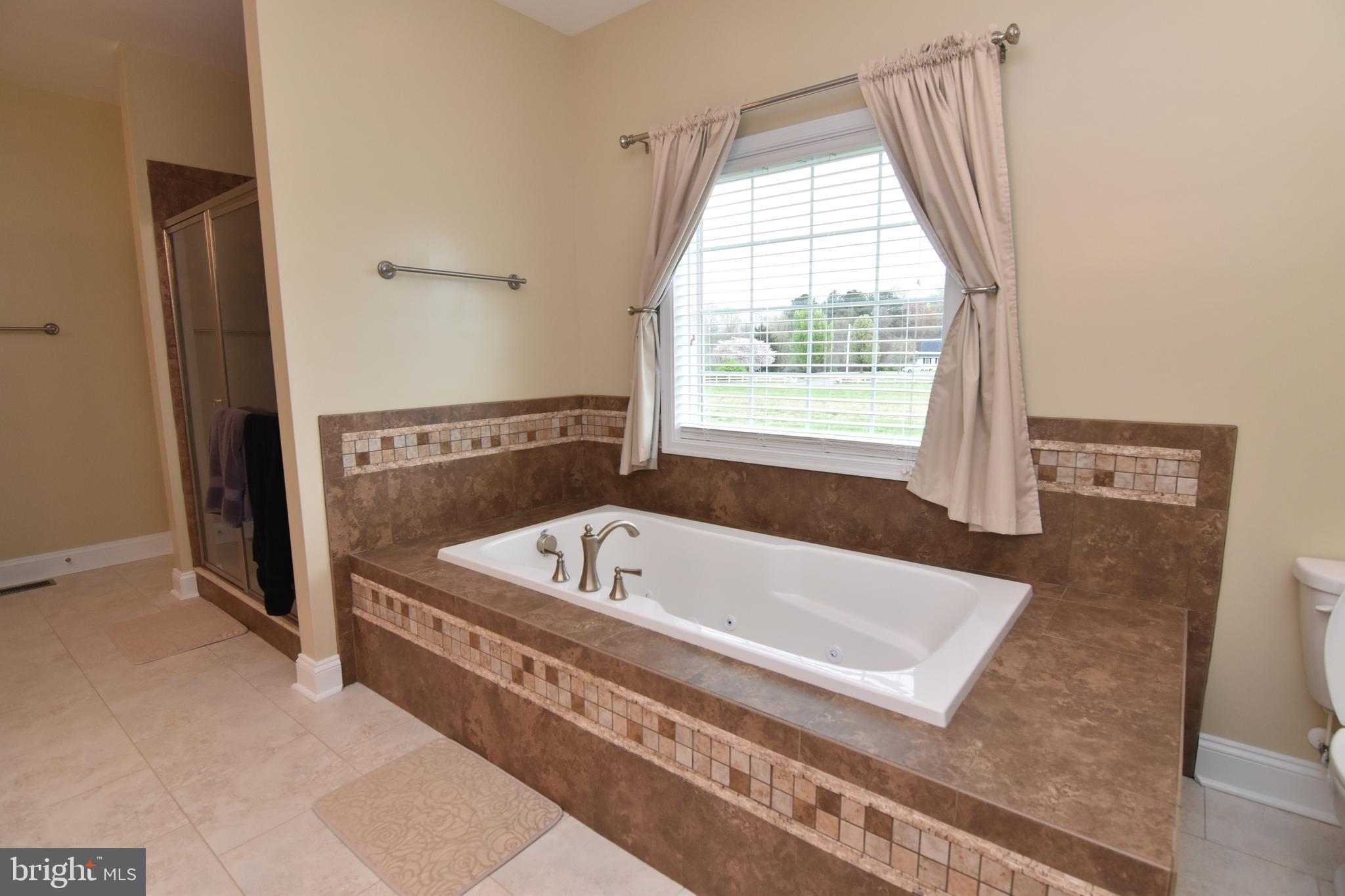 45251 Take It Easy Ranch Road Callaway, MD 20620 - Photo 30 of 47 Master bath