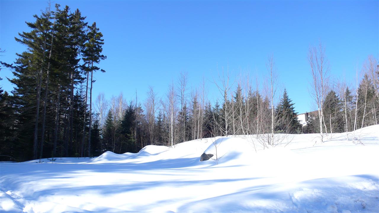 5 Golden Heights Road, Unit 36 1 Waterville Valley, NH 03215 - Photo 14 of 28