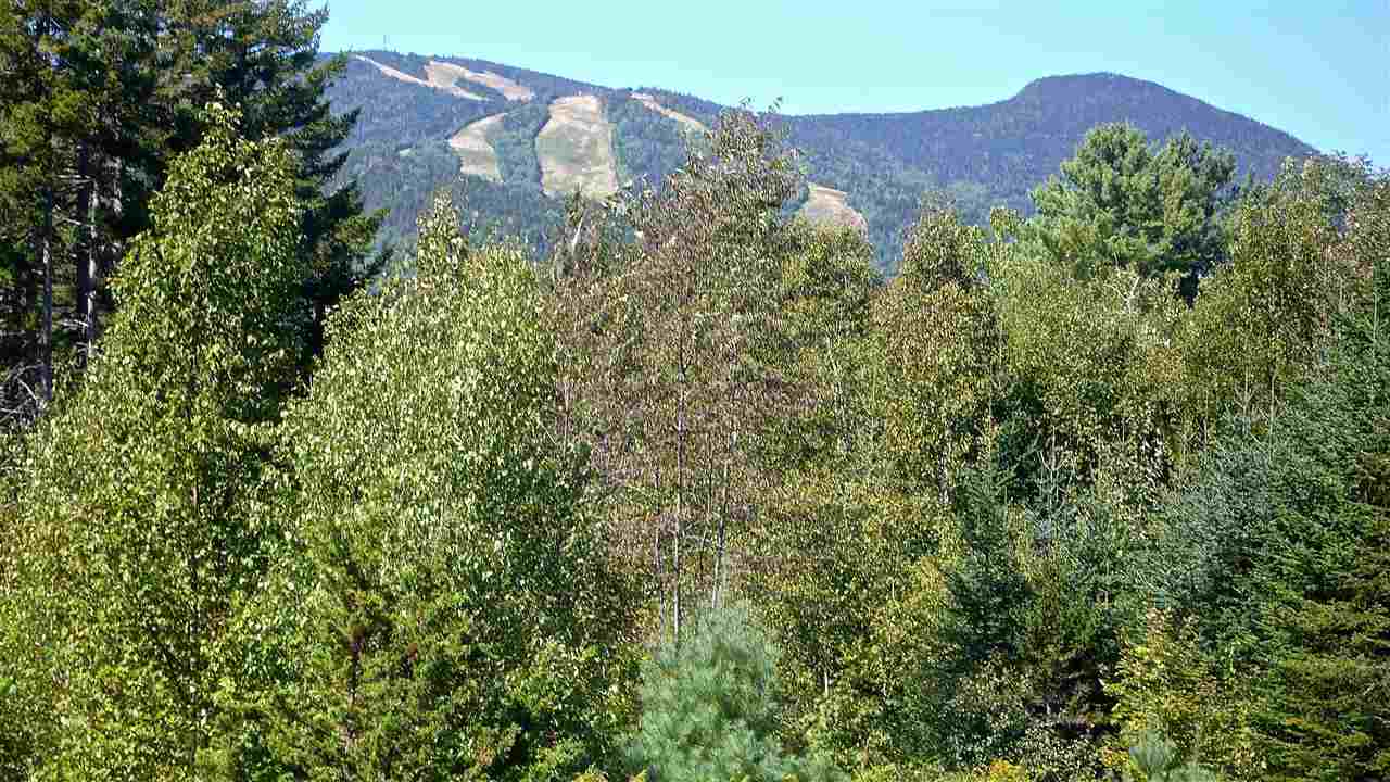 5 Golden Heights Road, Unit 36 1 Waterville Valley, NH 03215 - Photo 3 of 28
