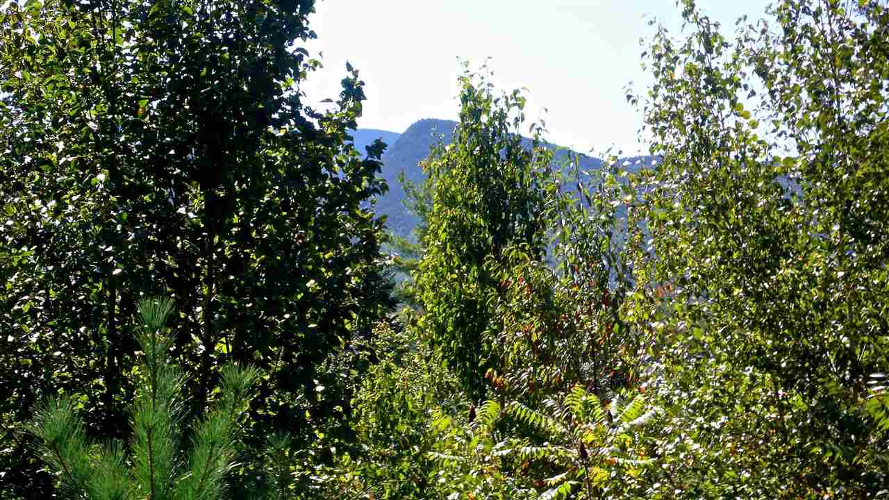 5 Golden Heights Road, Unit 36 1 Waterville Valley, NH 03215 - Photo 4 of 28