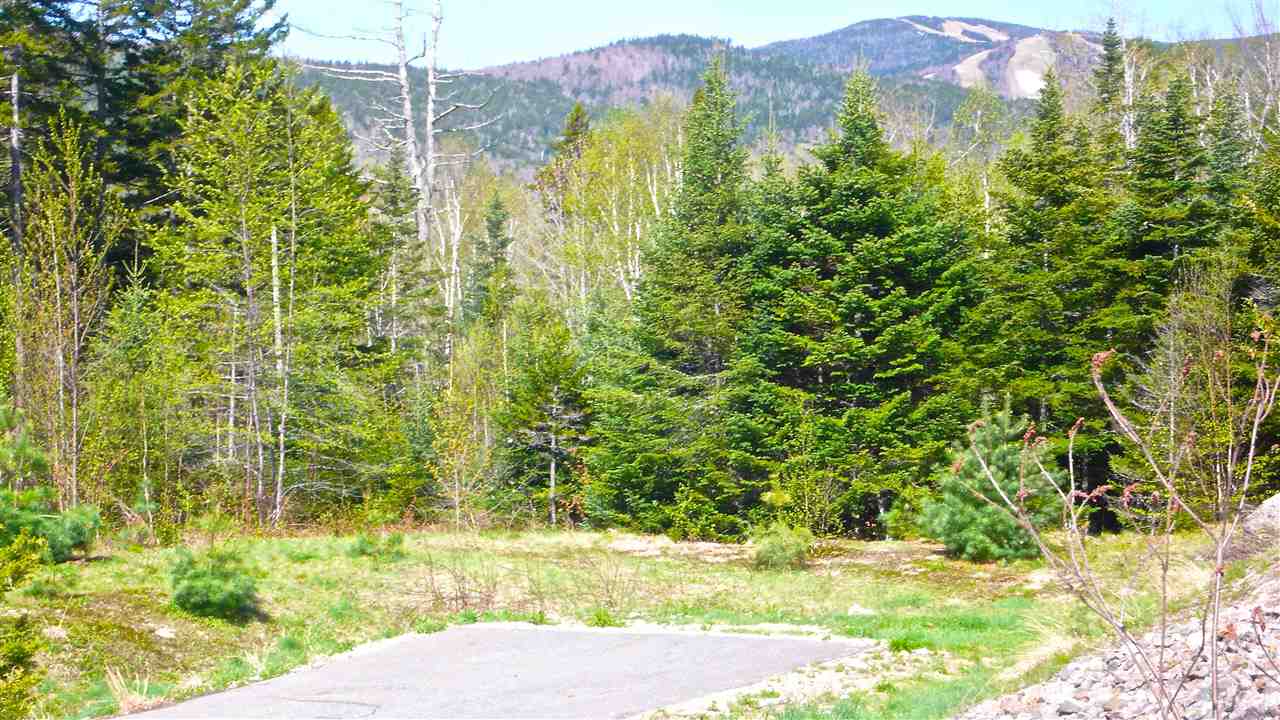 5 Golden Heights Road, Unit 36 1 Waterville Valley, NH 03215 - Photo 6 of 28