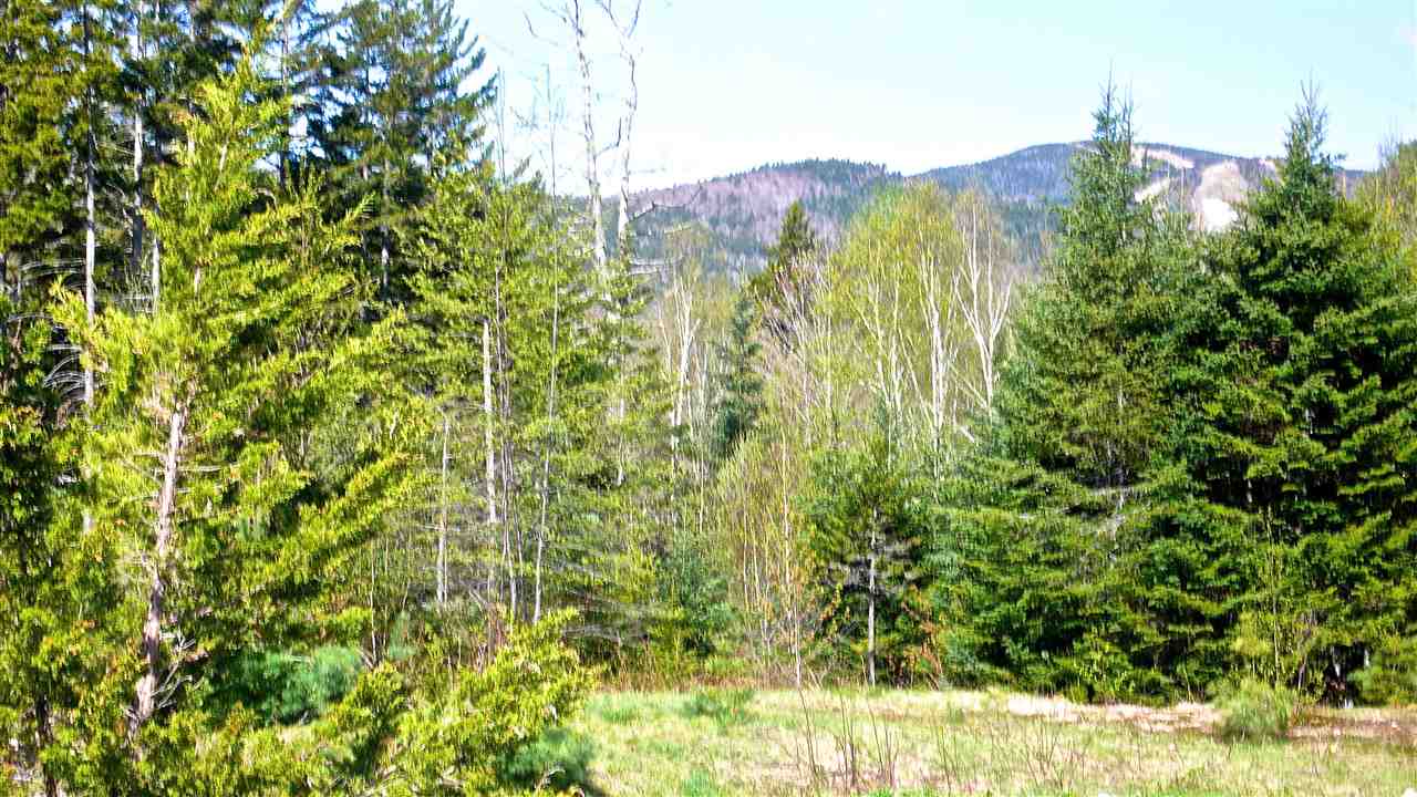 5 Golden Heights Road, Unit 36 1 Waterville Valley, NH 03215 - Photo 7 of 28