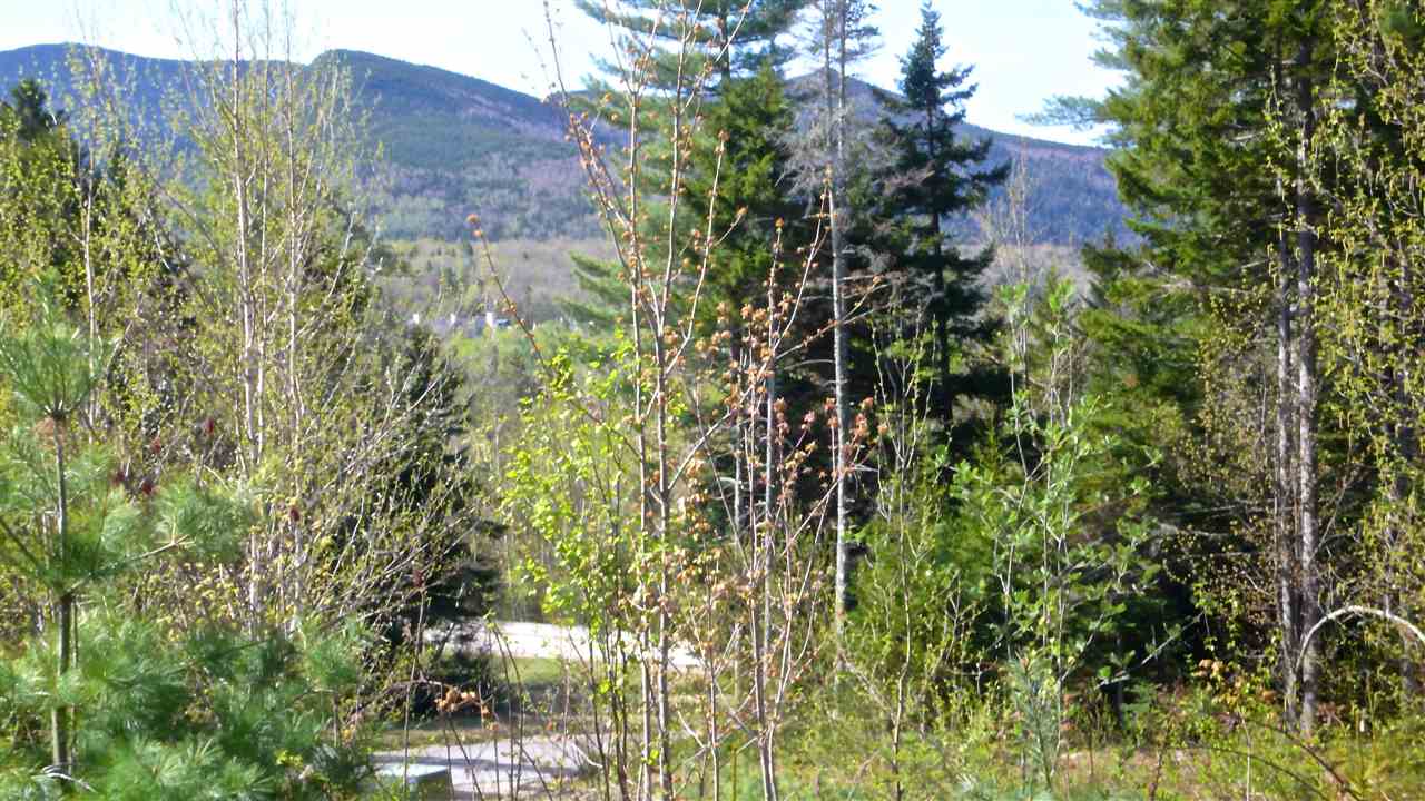 5 Golden Heights Road, Unit 36 1 Waterville Valley, NH 03215 - Photo 8 of 28