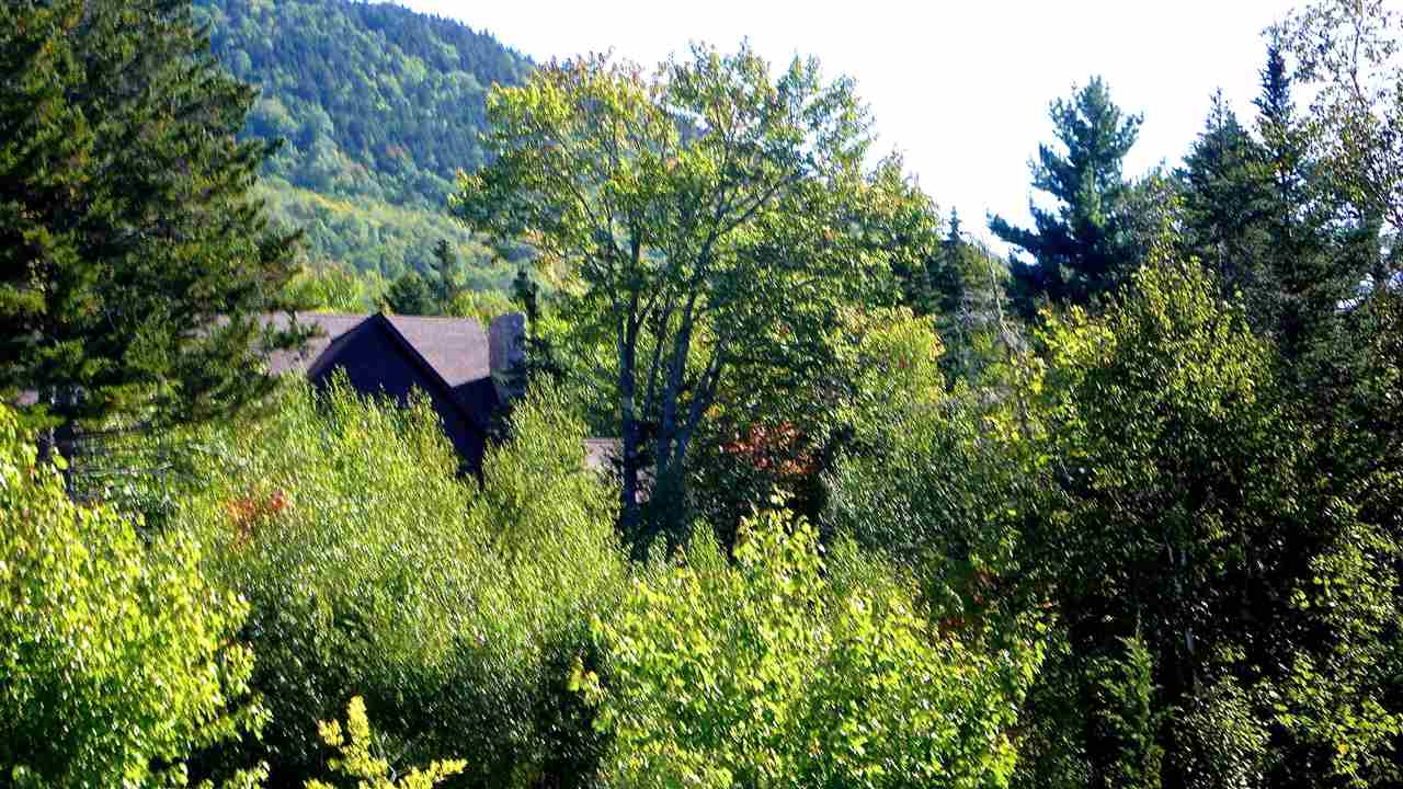 5 Golden Heights Road, Unit 36 1 Waterville Valley, NH 03215 - Photo 9 of 28