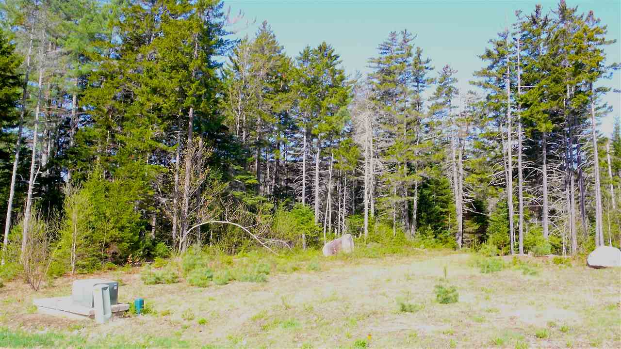 5 Golden Heights Road, Unit 36 1 Waterville Valley, NH 03215 - Photo 10 of 28