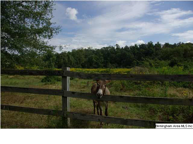 Turkey Ridge, Unit 11 Ragland, AL 35131 - Photo 7 of 31