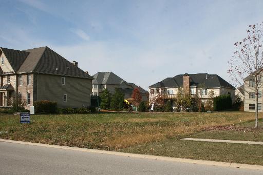 Lot515 Walt Whitman Road St. Charles, IL 60175 - Photo 5 of 6 Gallery Image 5