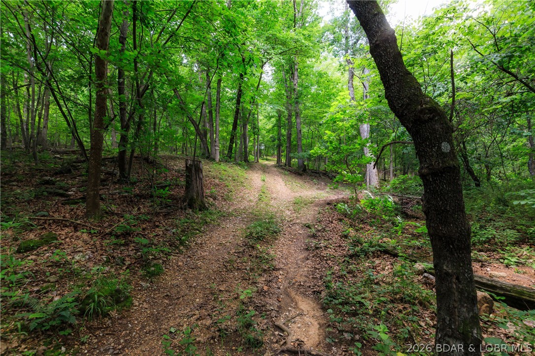400 Hidden Acres Road Camdenton, MO 65020 - Photo 20 of 39