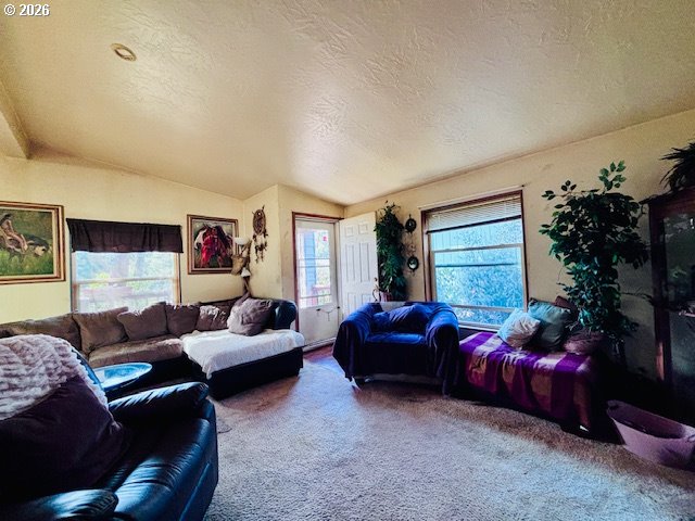129 Evergreen Lane Florence, OR 97439 - Photo 6 of 13 a living room with furniture window and a potted plant