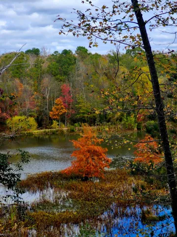 $799,000 | 13952 County Road 371, Winona, TX 75792