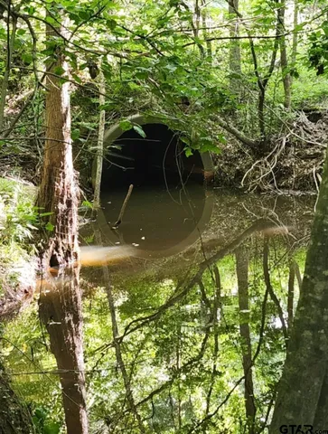 $799,000 | 13952 County Road 371, Winona, TX 75792