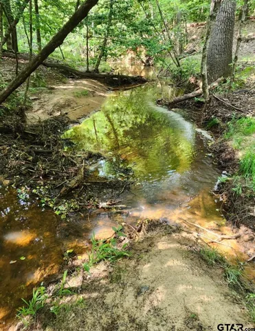 $799,000 | 13952 County Road 371, Winona, TX 75792