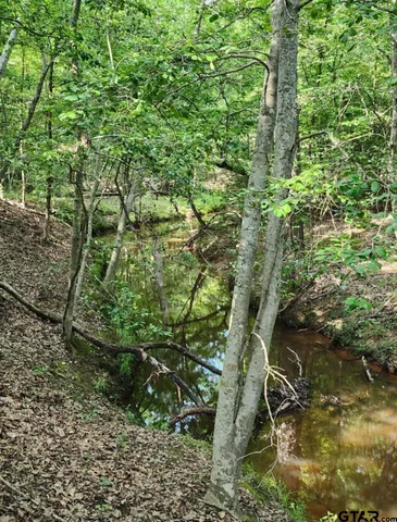 $799,000 | 13952 County Road 371, Winona, TX 75792