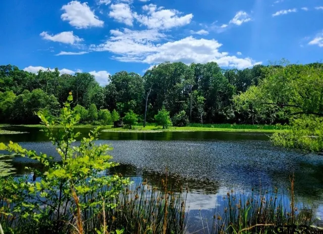 a view of a lake with a house in the background