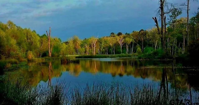 $799,000 | 13952 County Road 371, Winona, TX 75792