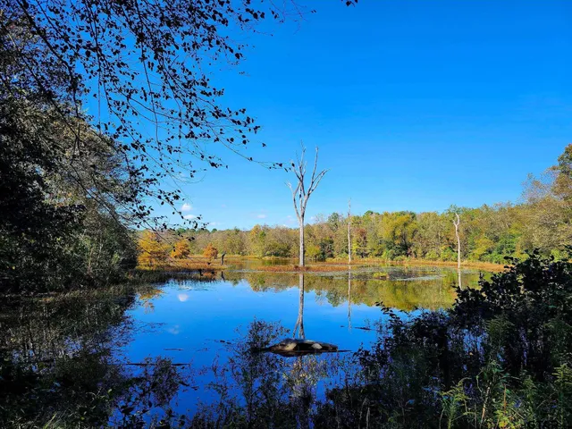 $799,000 | 13952 County Road 371, Winona, TX 75792