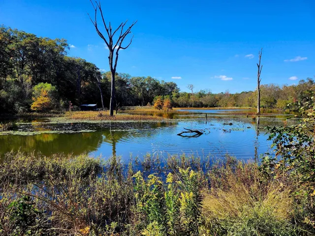 $799,000 | 13952 County Road 371, Winona, TX 75792