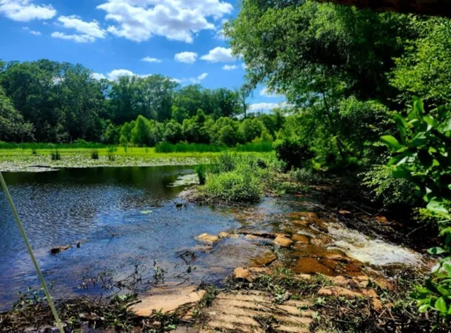 a view of a big yard with large trees