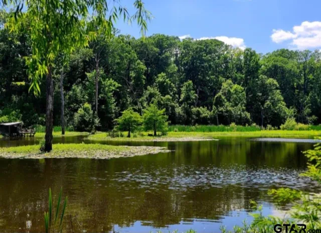 a kitchen with stainless steel appliances a sink cabinets and a window
