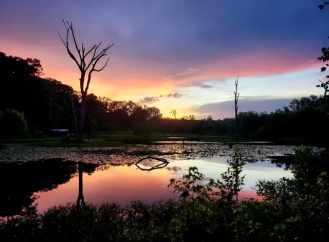a view of a building with brick walls