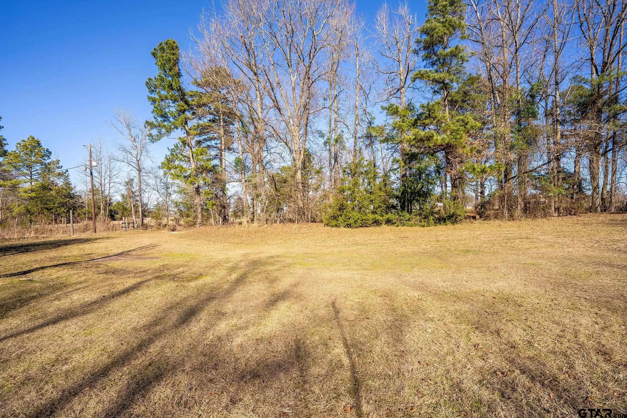 8439 Hyena Road Gilmer, TX 75644 - Photo 16 of 16 a view of yard covered with snow