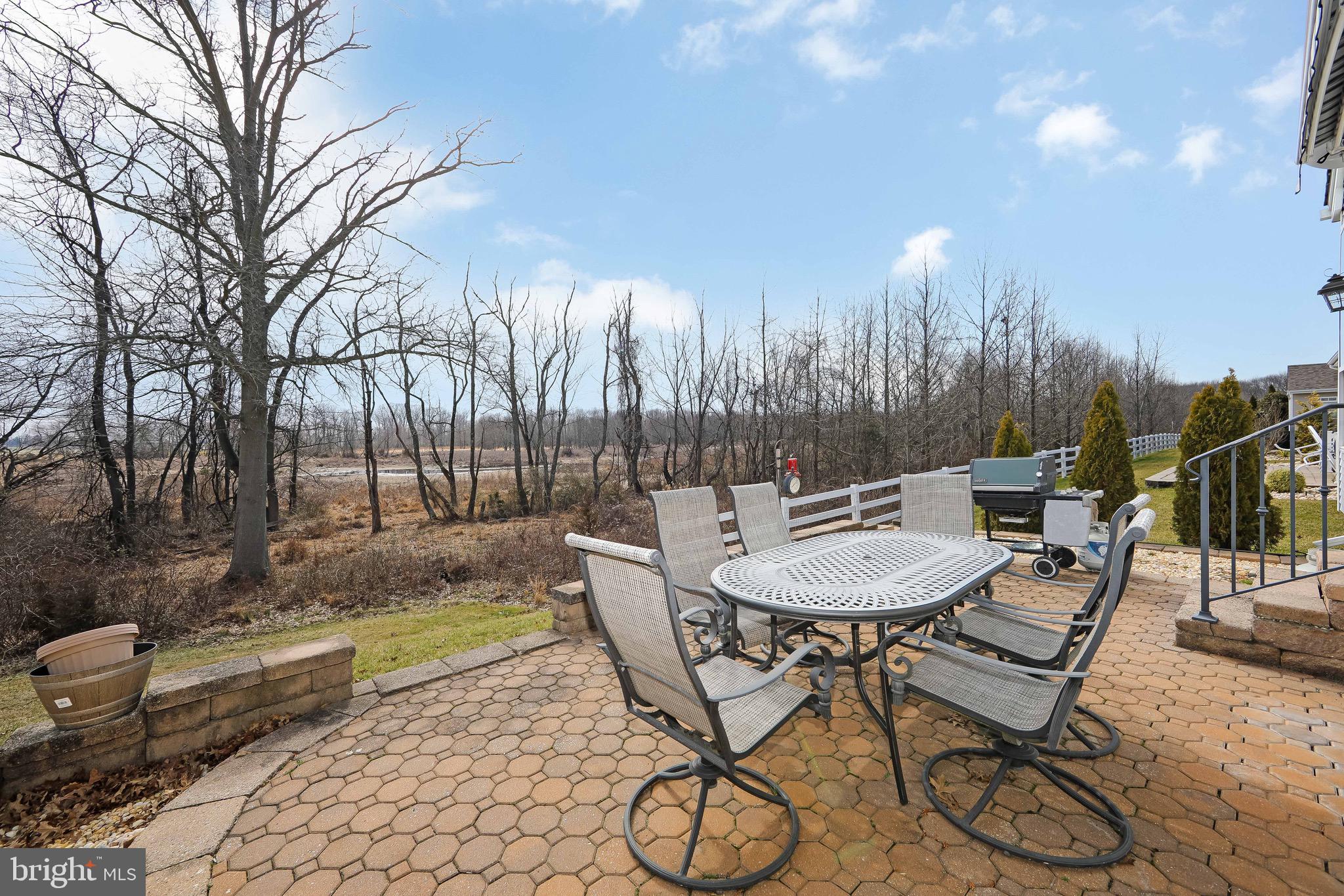 17 Ellington Drive Columbus, NJ 08022 - Photo 31 of 43 Patio and view