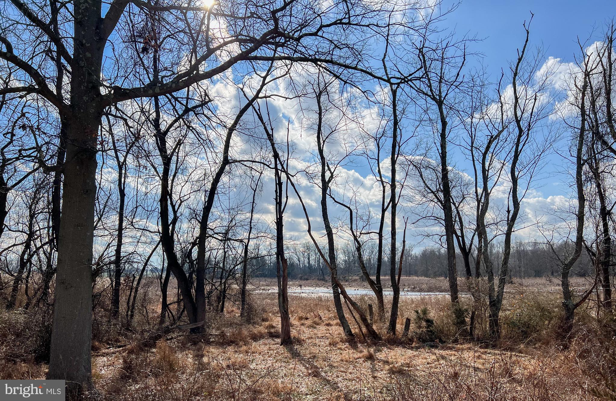 17 Ellington Drive Columbus, NJ 08022 - Photo 34 of 43 View of Backyard