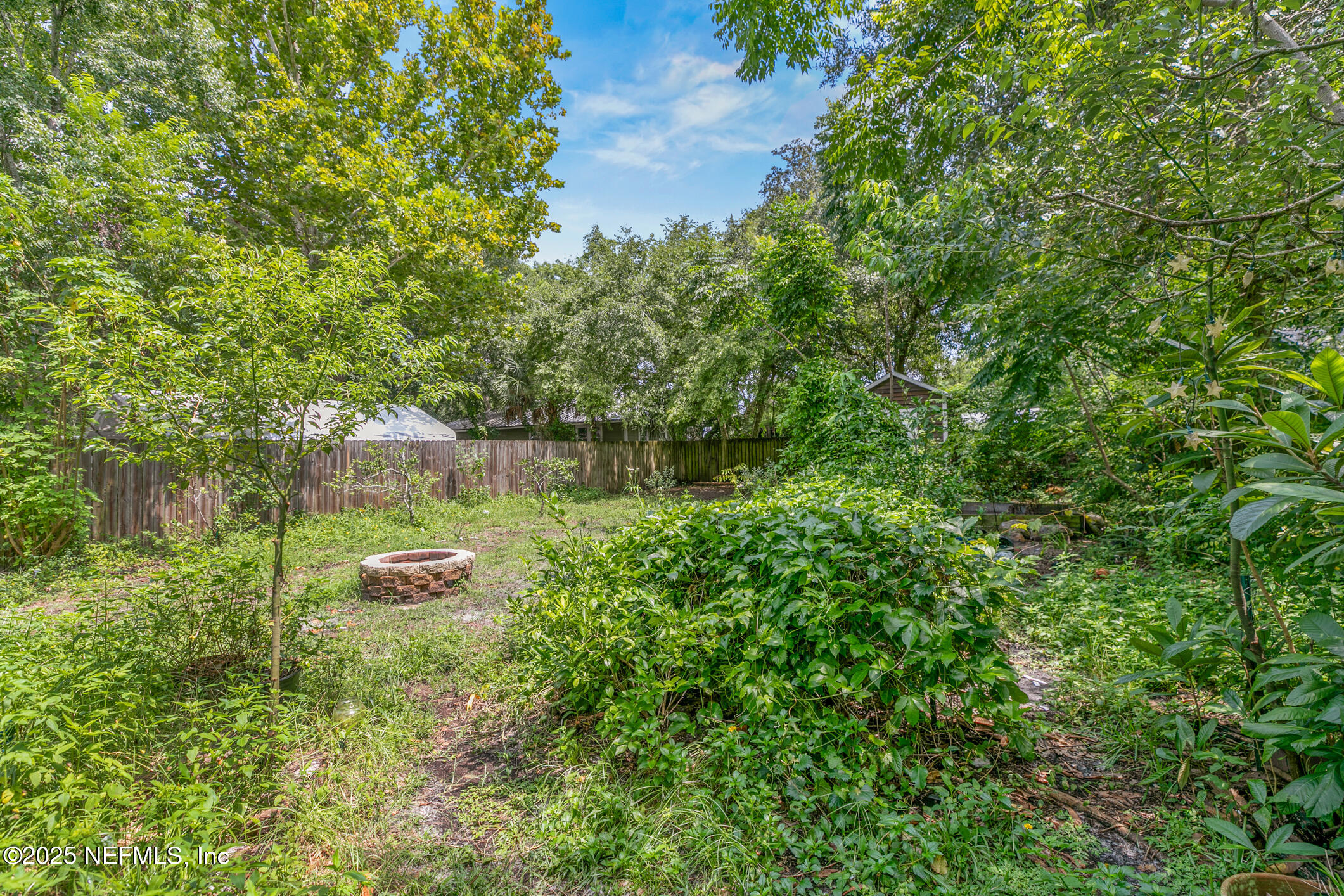 111 Palmer Street St. Augustine, FL 32084 - Photo 36 of 59 a view of a yard with plants and trees