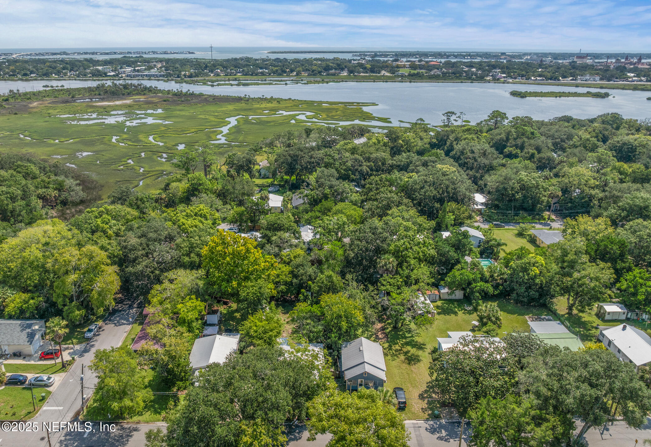111 Palmer Street St. Augustine, FL 32084 - Photo 54 of 59 a view of a lake with a city