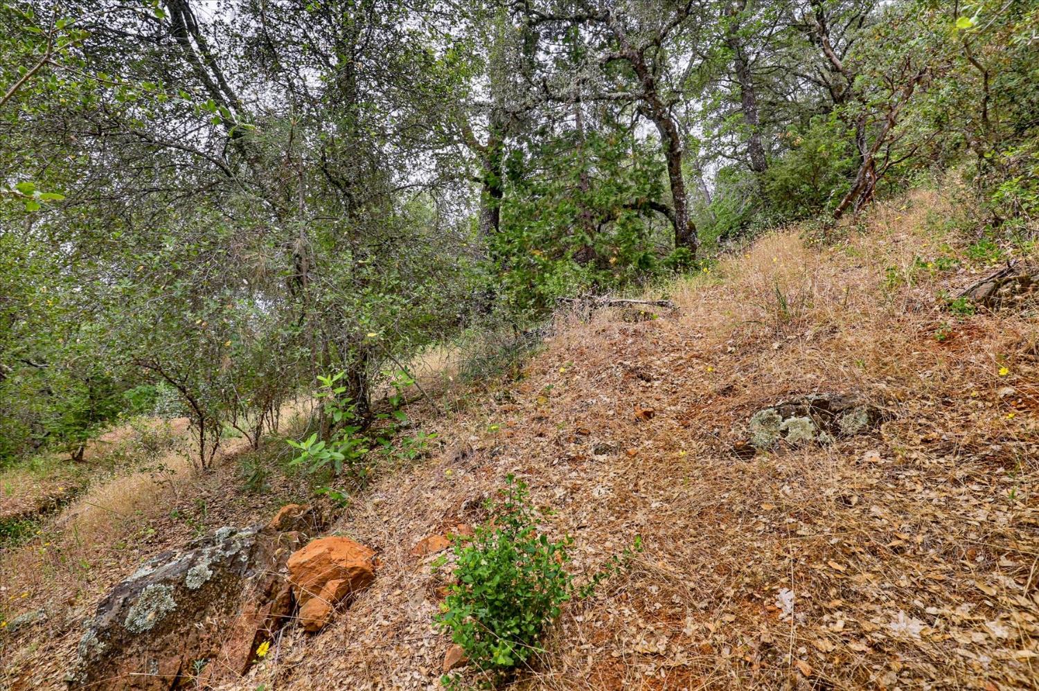17422 Scopar Road Grass Valley, CA 95949 - Photo 49 of 63