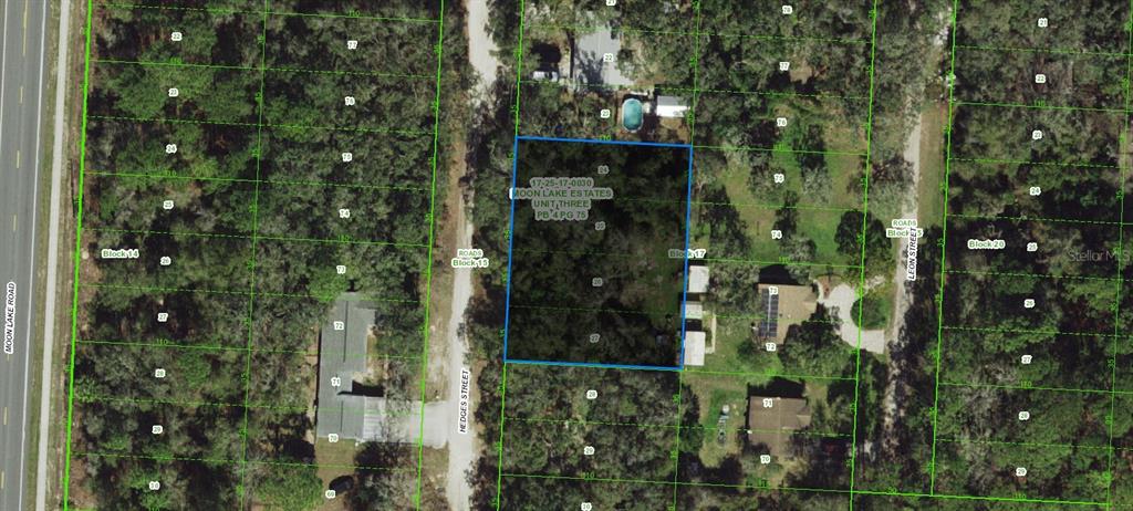 17 Hedges Street New Port Richey, FL 34654 - Photo 1 of 3