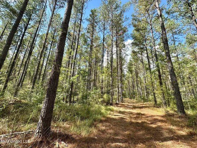 $460,000 | 0 Highway 469 North, Harrisville, MS 39082