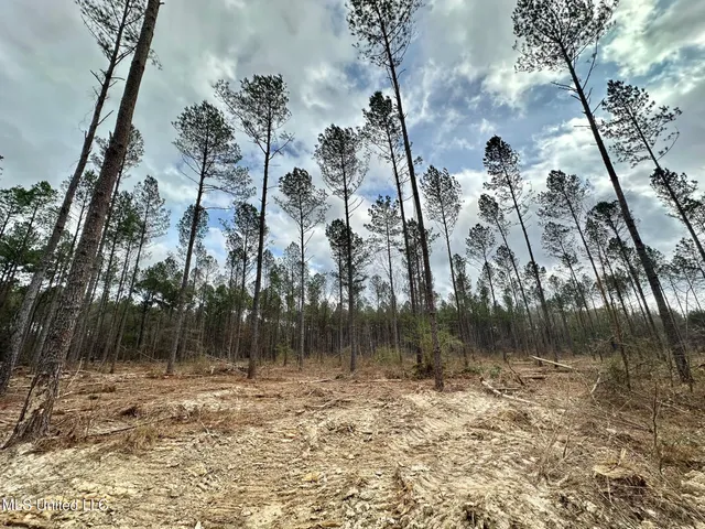 $385,000 | 0 Highway 469 North, Harrisville, MS 39082