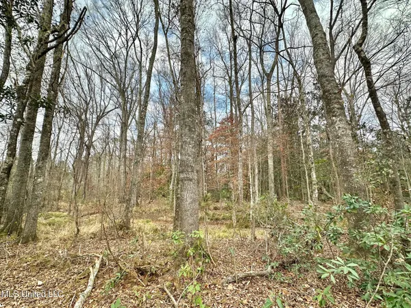 $295,000 | 0 Highway 469 North, Harrisville, MS 39082