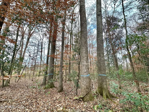 $295,000 | 0 Highway 469 North, Harrisville, MS 39082