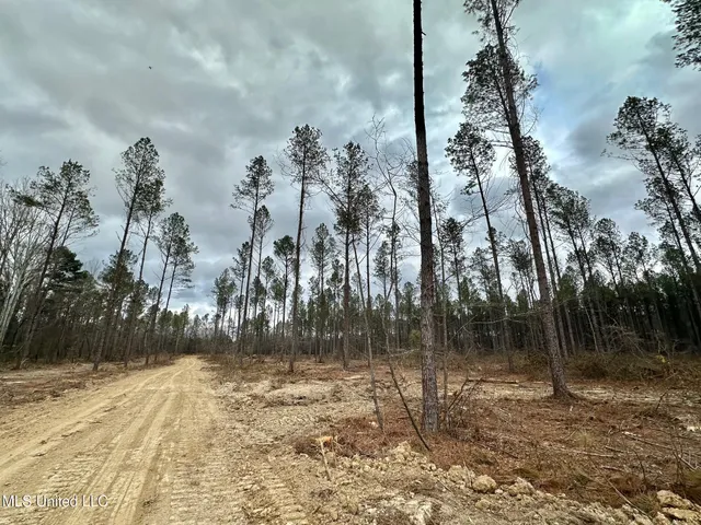 $385,000 | 0 Highway 469 North, Harrisville, MS 39082