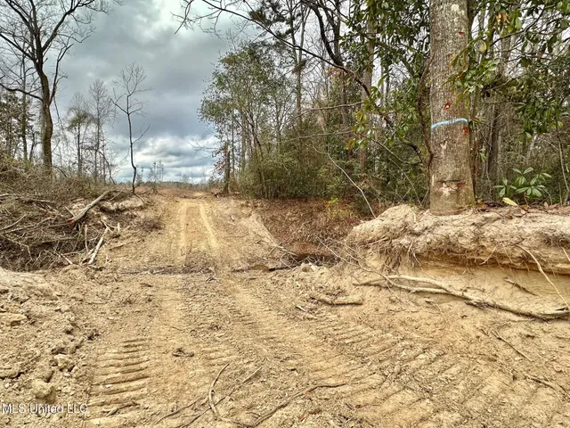 $385,000 | 0 Highway 469 North, Harrisville, MS 39082