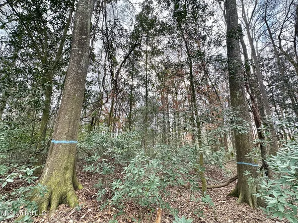 $295,000 | 0 Highway 469 North, Harrisville, MS 39082