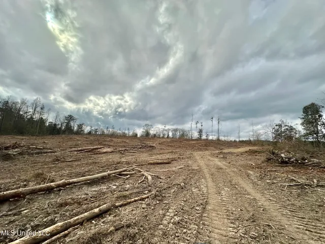 $385,000 | 0 Highway 469 North, Harrisville, MS 39082