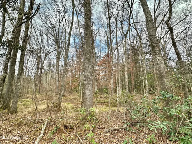 $385,000 | 0 Highway 469 North, Harrisville, MS 39082