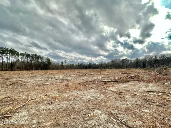 $295,000 | 0 Highway 469 North, Harrisville, MS 39082