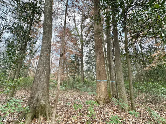 $385,000 | 0 Highway 469 North, Harrisville, MS 39082