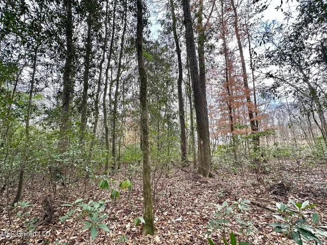 $385,000 | 0 Highway 469 North, Harrisville, MS 39082