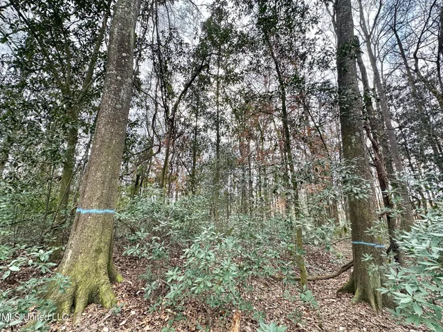 $385,000 | 0 Highway 469 North, Harrisville, MS 39082